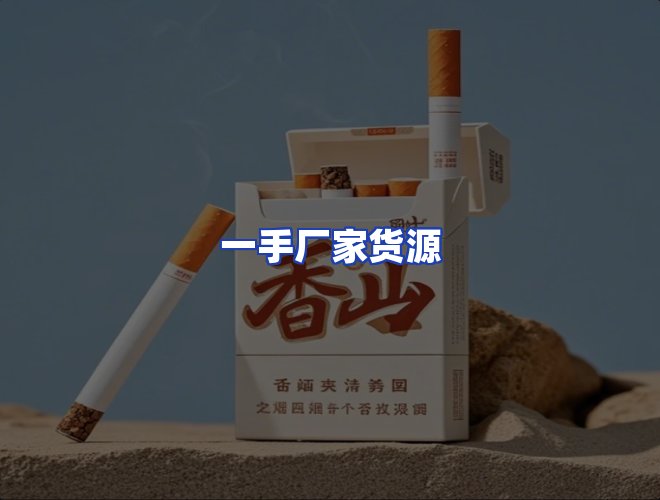 专业团队